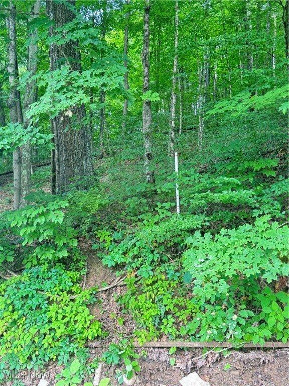 50530 Wargo Road, Caldwell, OH 43724