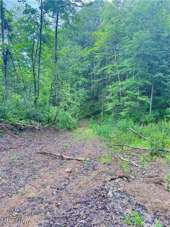 50530 Wargo Road, Caldwell, OH 43724