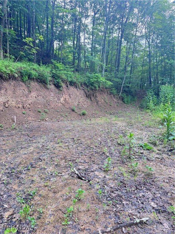 50530 Wargo Road, Caldwell, OH 43724