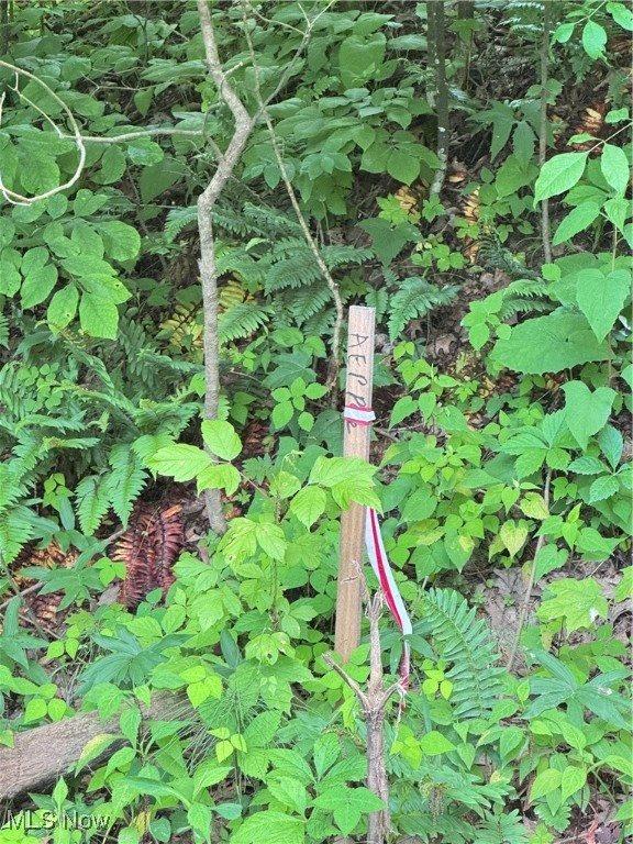 50530 Wargo Road, Caldwell, OH 43724