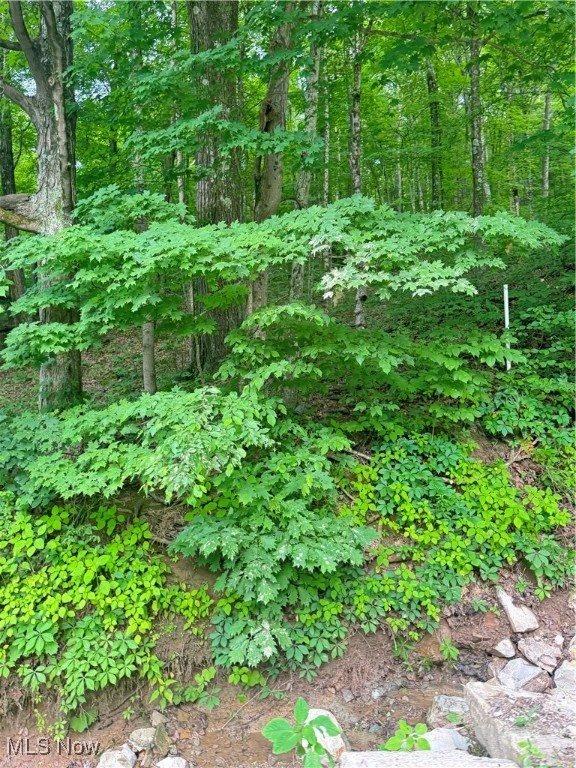 50530 Wargo Road, Caldwell, OH 43724