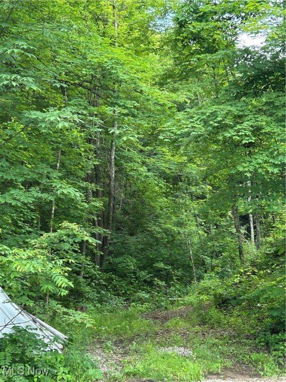 50530 Wargo Road, Caldwell, OH 43724