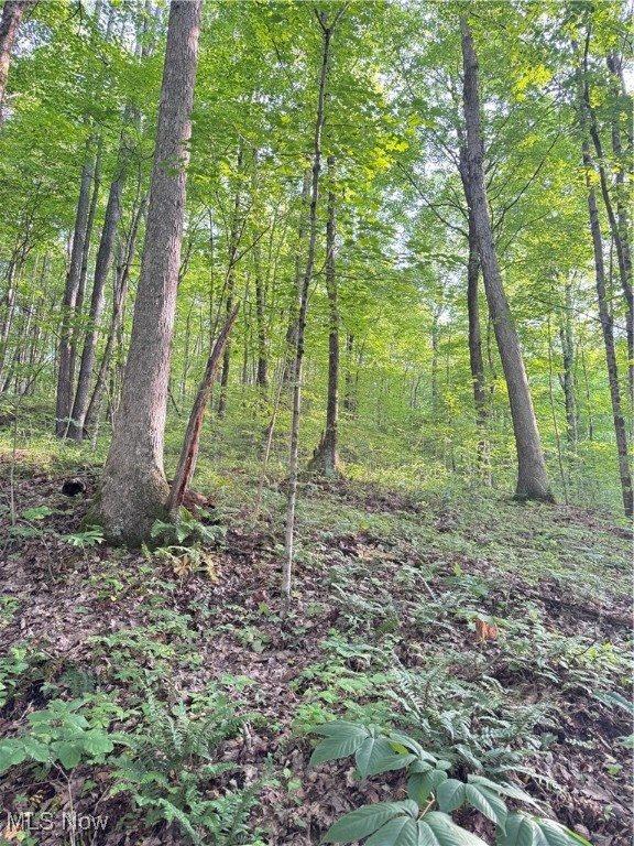 50530 Wargo Road, Caldwell, OH 43724