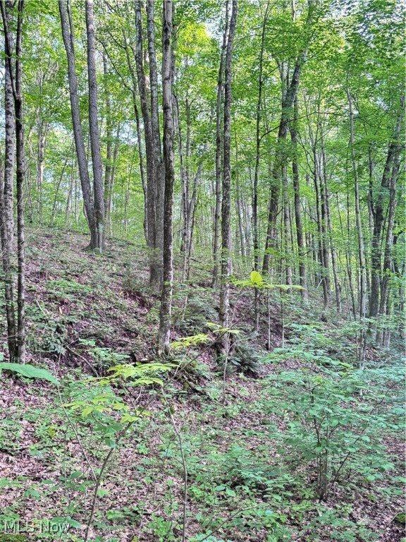 50530 Wargo Road, Caldwell, OH 43724