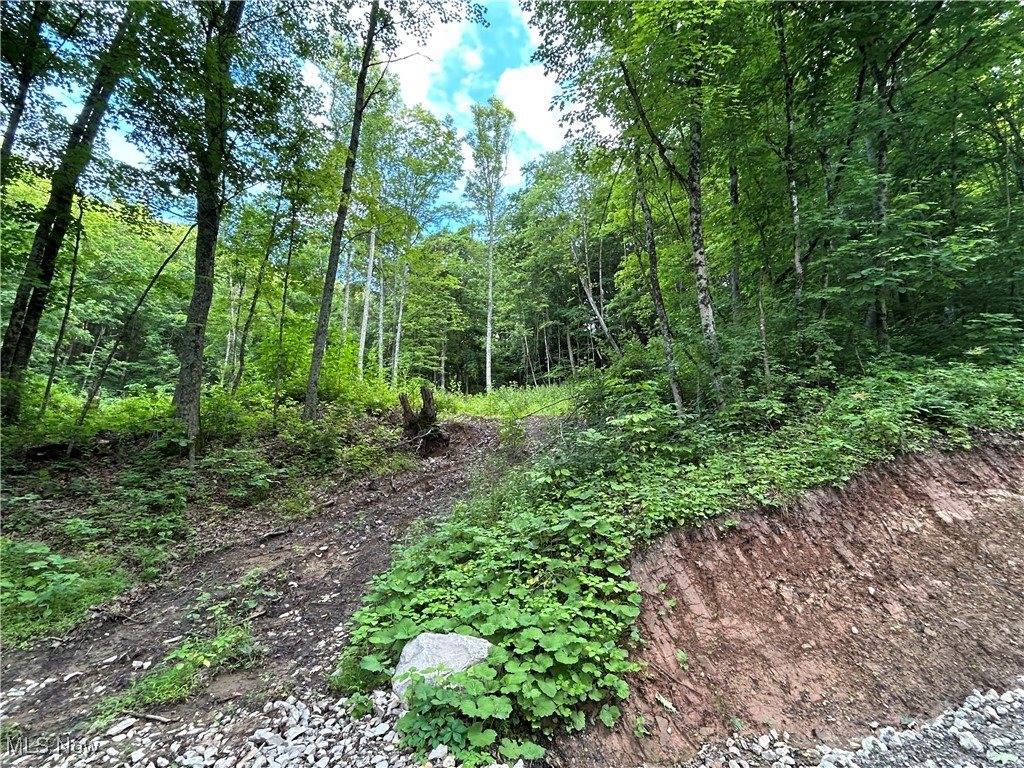 50530 Wargo Road, Caldwell, OH 43724