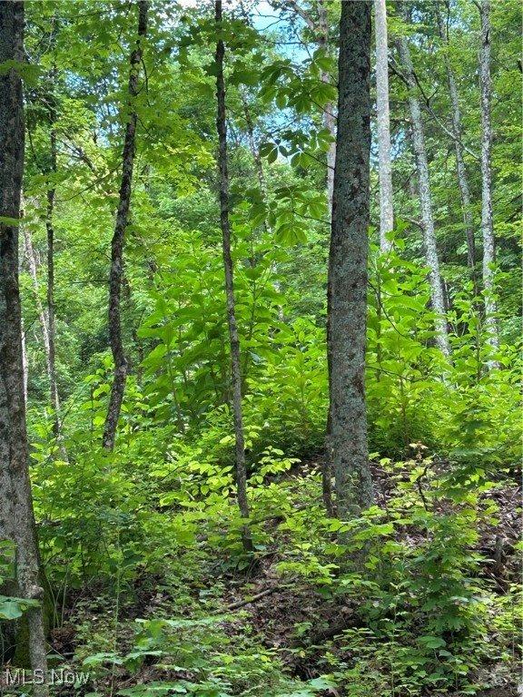 50530 Wargo Road, Caldwell, OH 43724