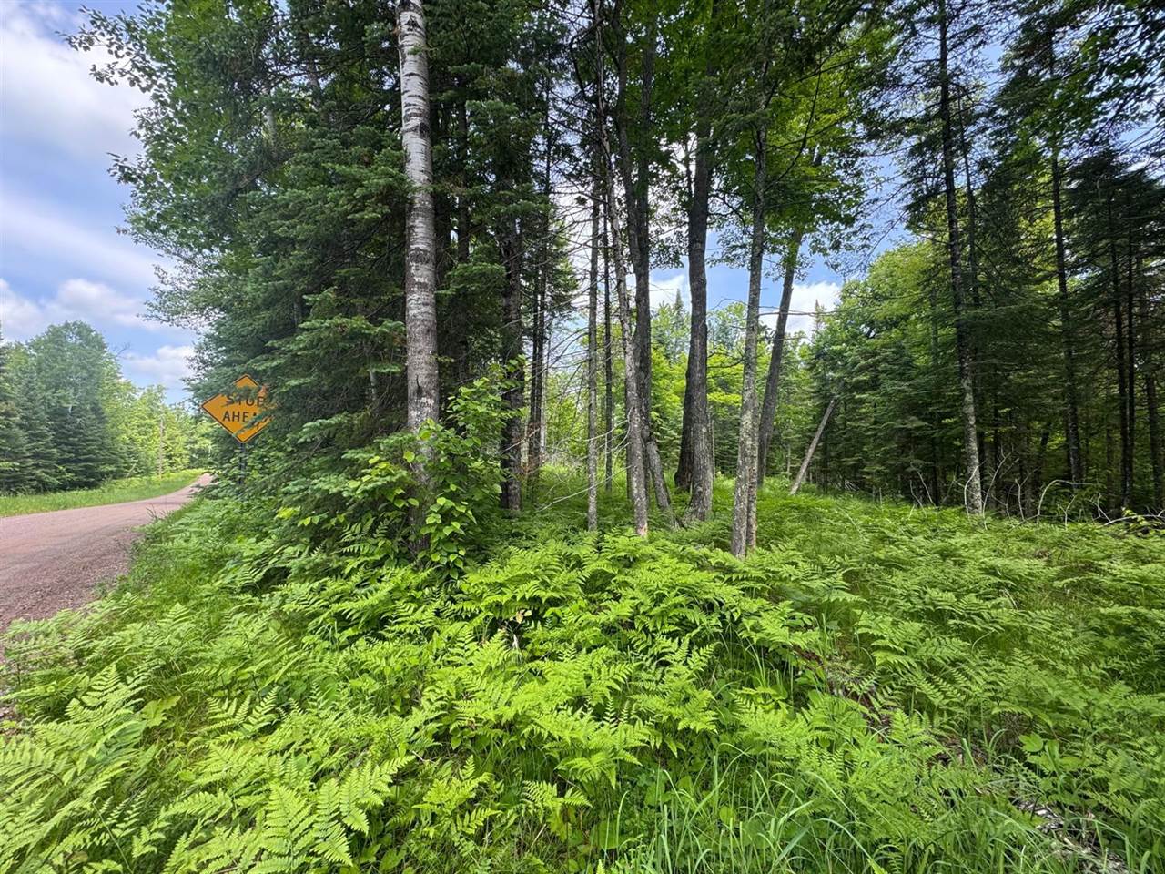 xxx Crystal Lake Road, Barnum, MN 55707