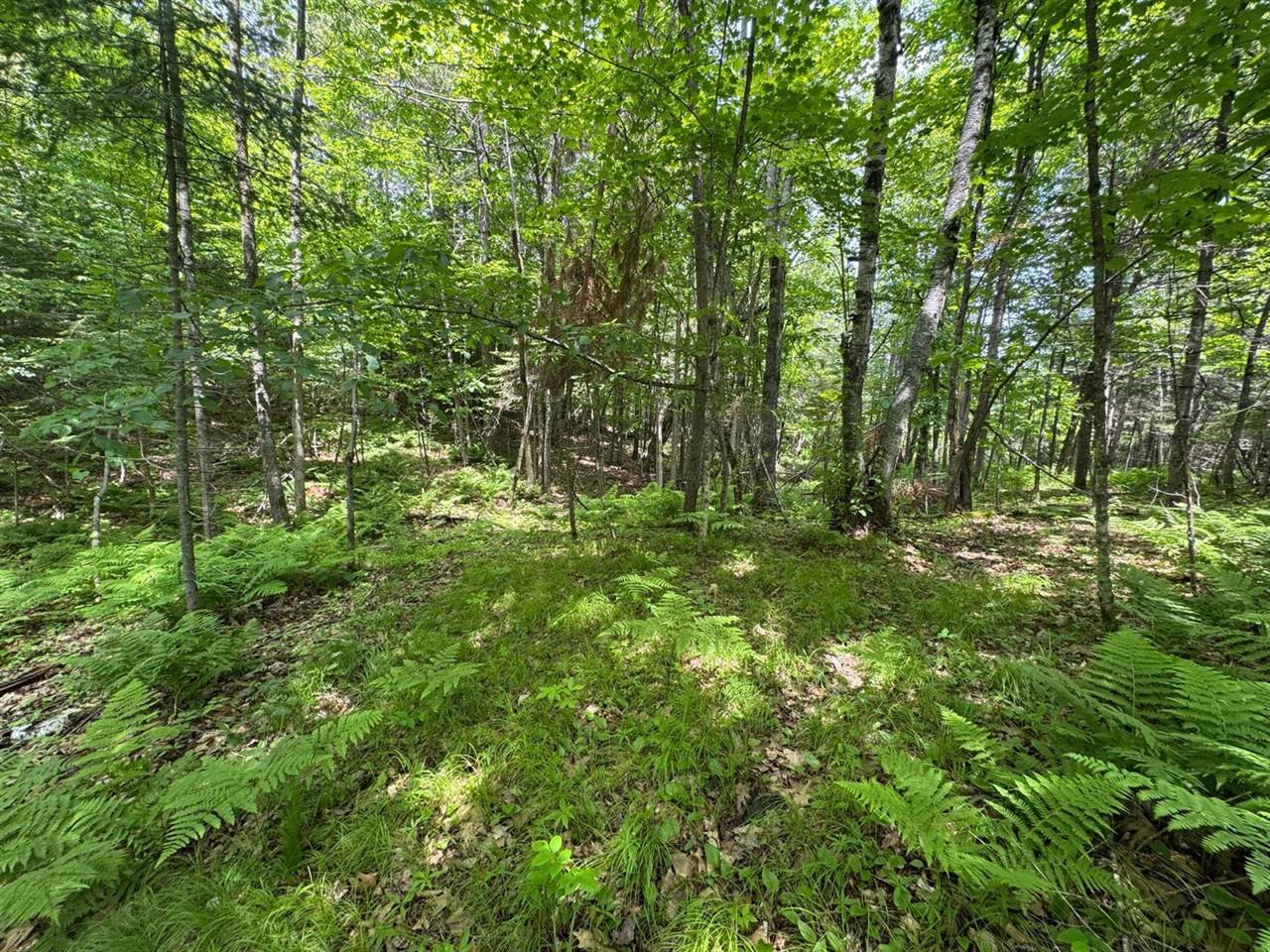 xxx Crystal Lake Road, Barnum, MN 55707