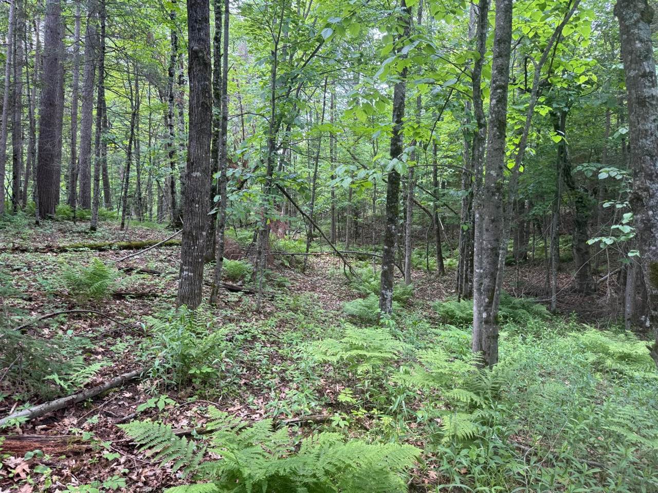 xxx Crystal Lake Road, Barnum, MN 55707