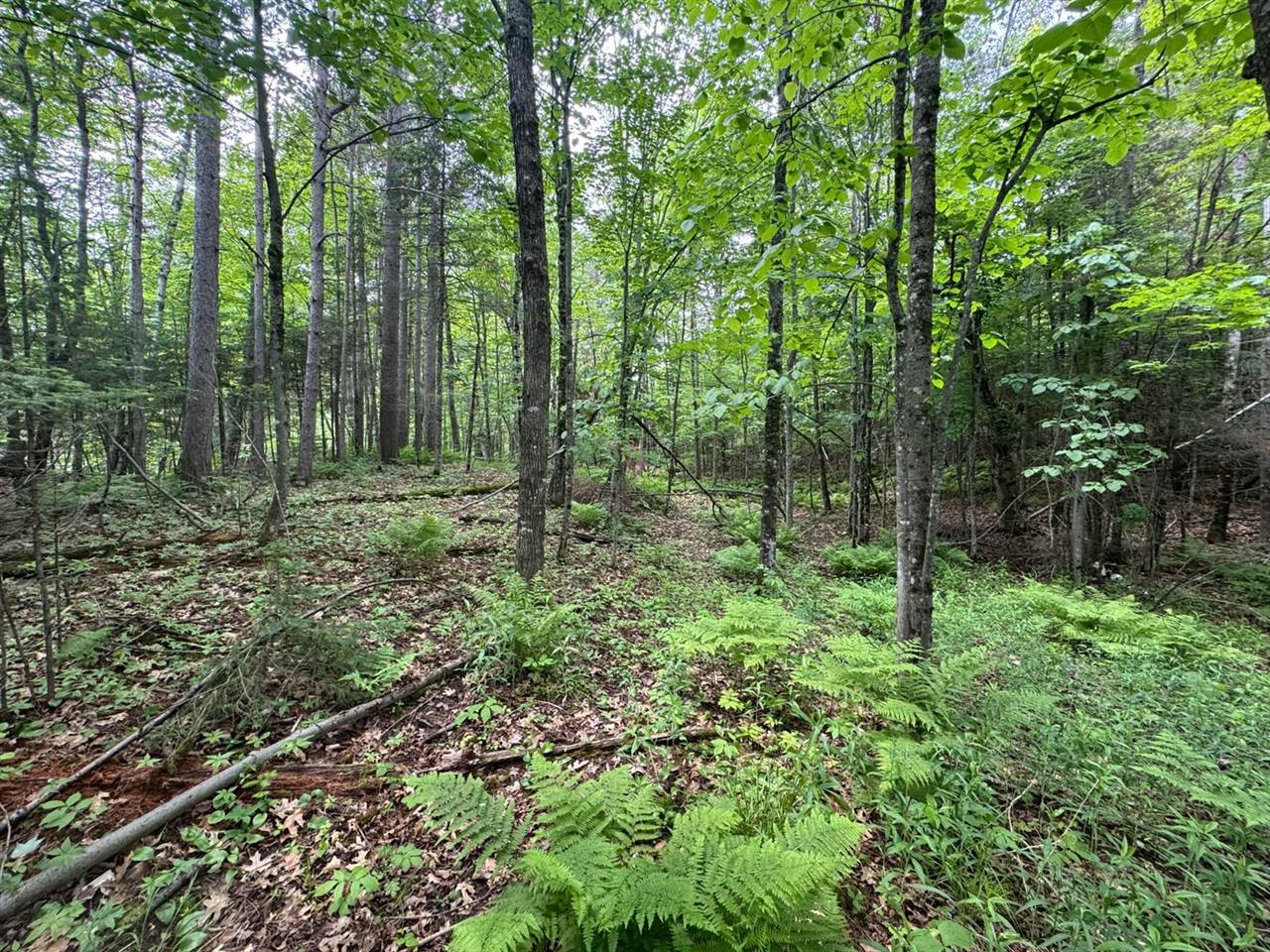 xxx Crystal Lake Road, Barnum, MN 55707