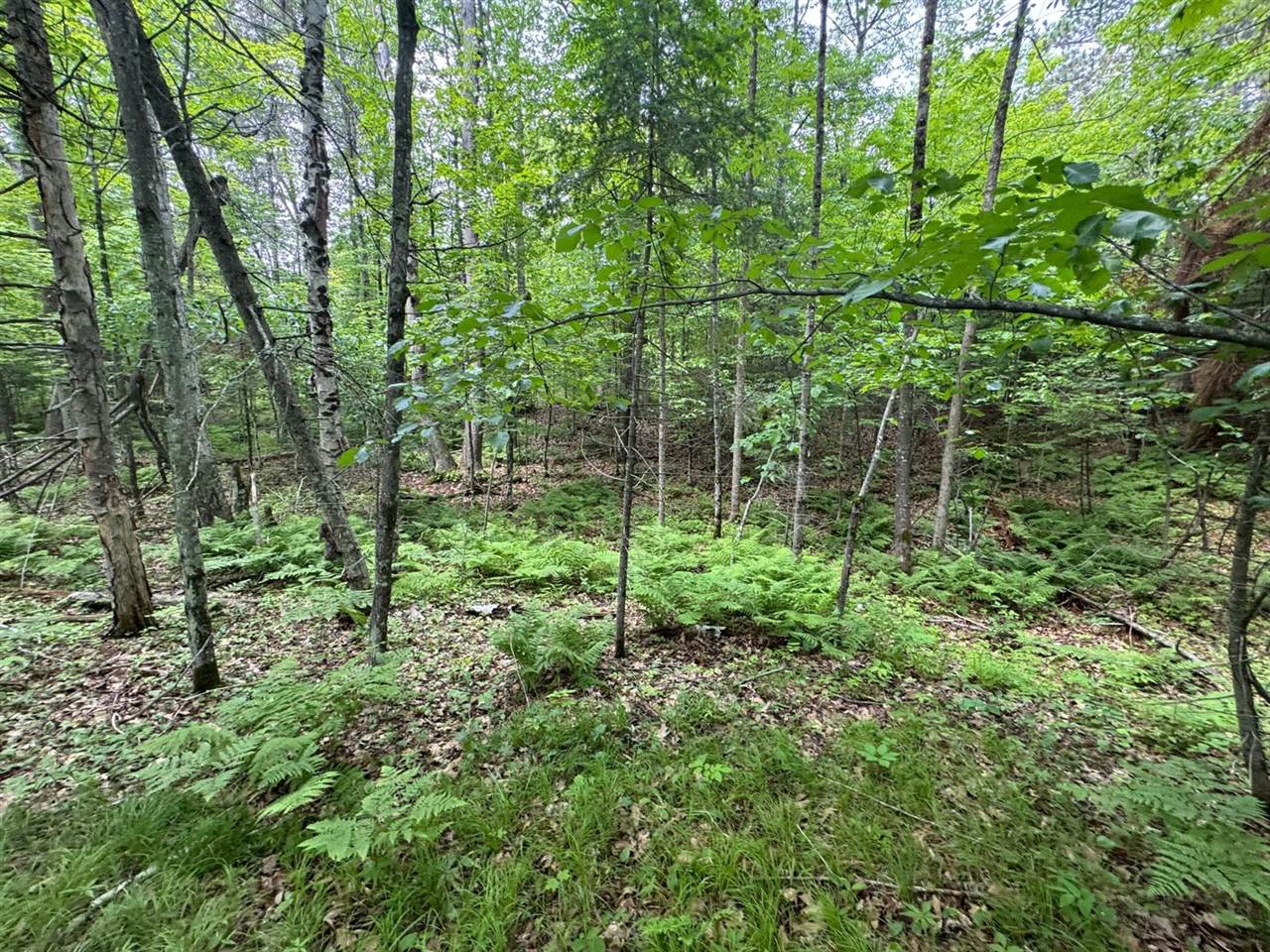 xxx Crystal Lake Road, Barnum, MN 55707