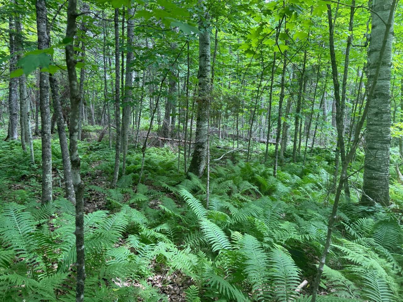 xxx Crystal Lake Road, Barnum, MN 55707