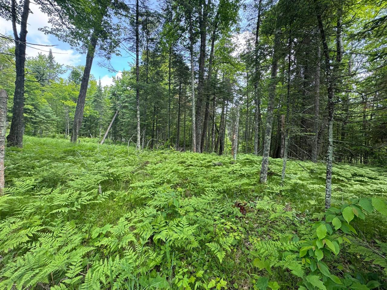 xxx Crystal Lake Road, Barnum, MN 55707