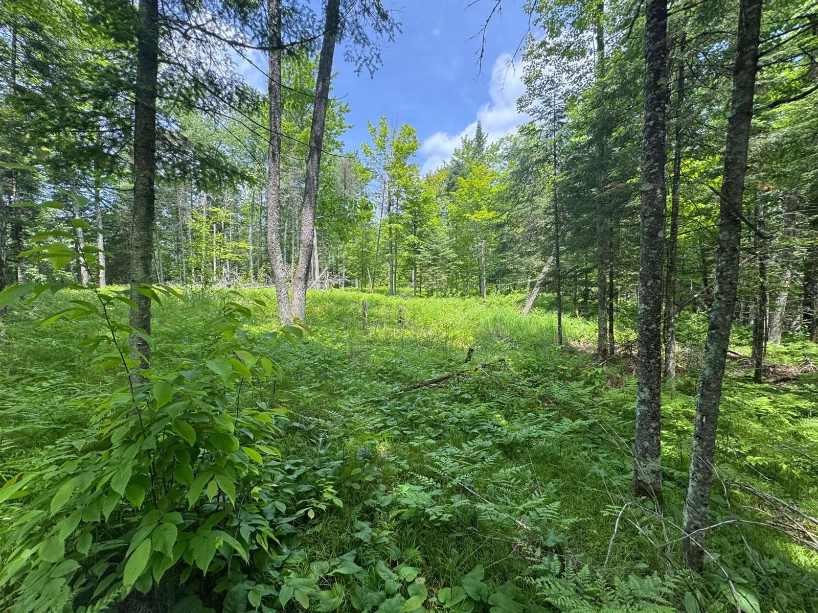 xxx Crystal Lake Road, Barnum, MN 55707