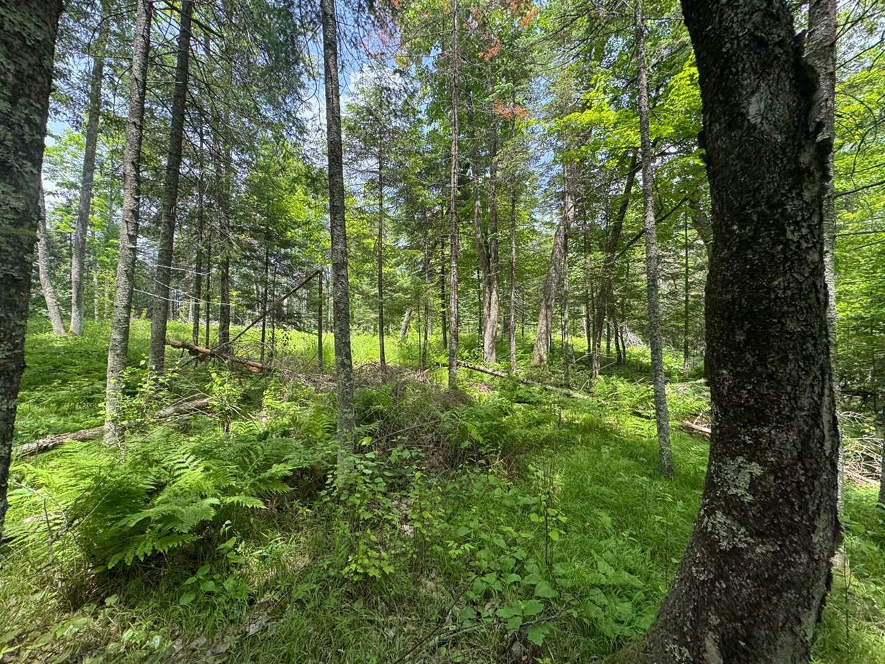 xxx Crystal Lake Road, Barnum, MN 55707