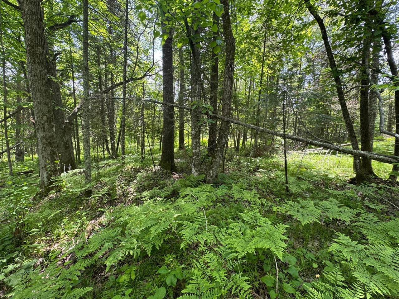 xxx Crystal Lake Road, Barnum, MN 55707