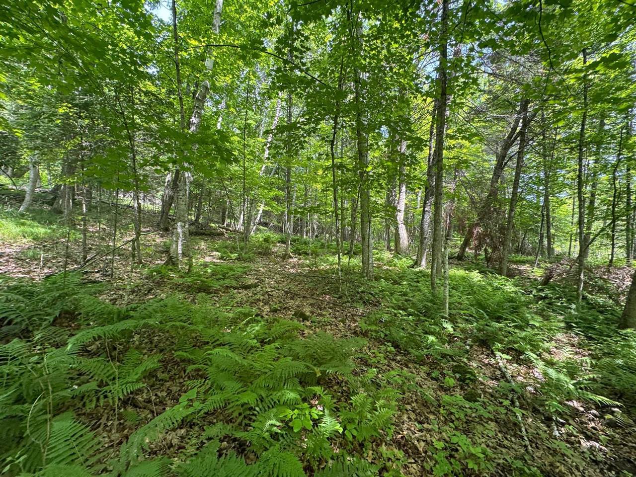 xxx Crystal Lake Road, Barnum, MN 55707