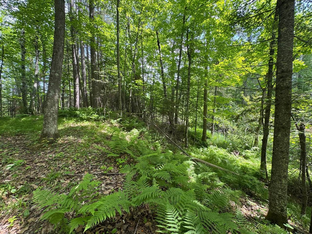 xxx Crystal Lake Road, Barnum, MN 55707