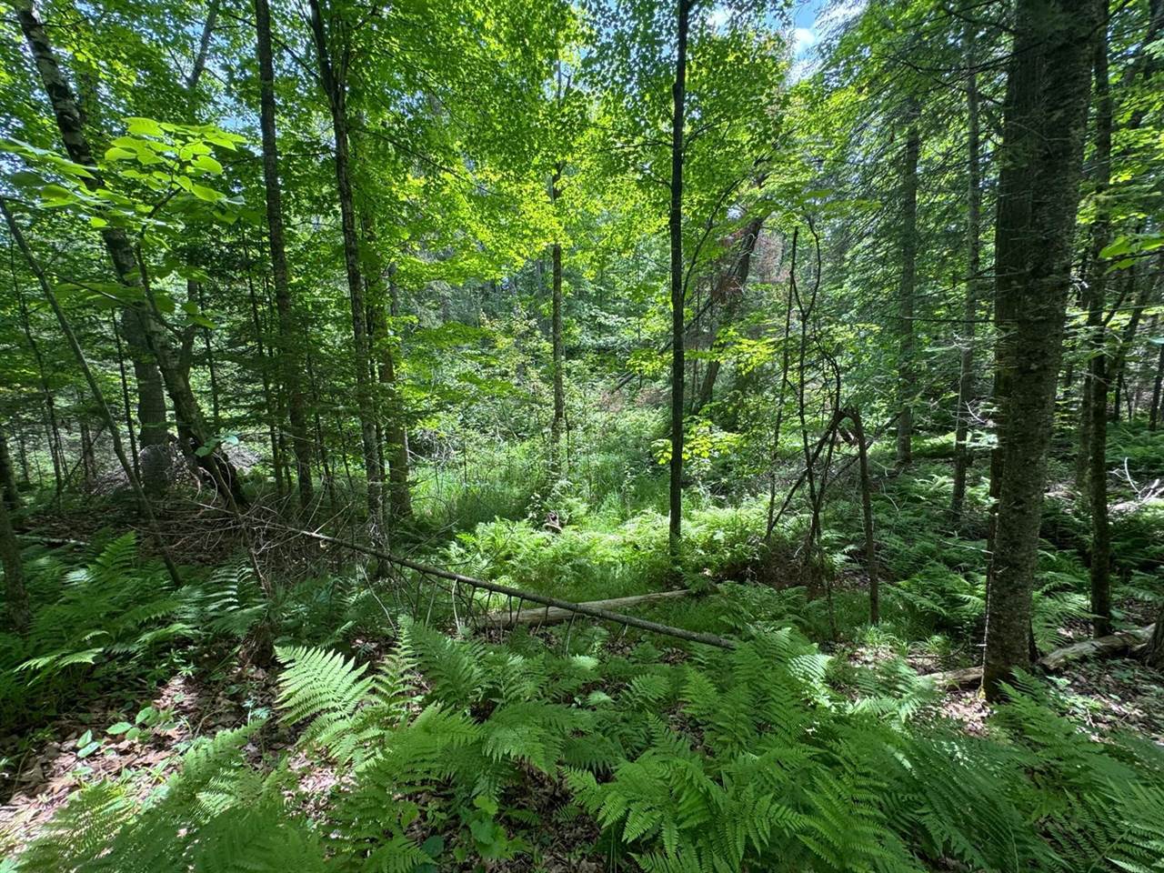 xxx Crystal Lake Road, Barnum, MN 55707