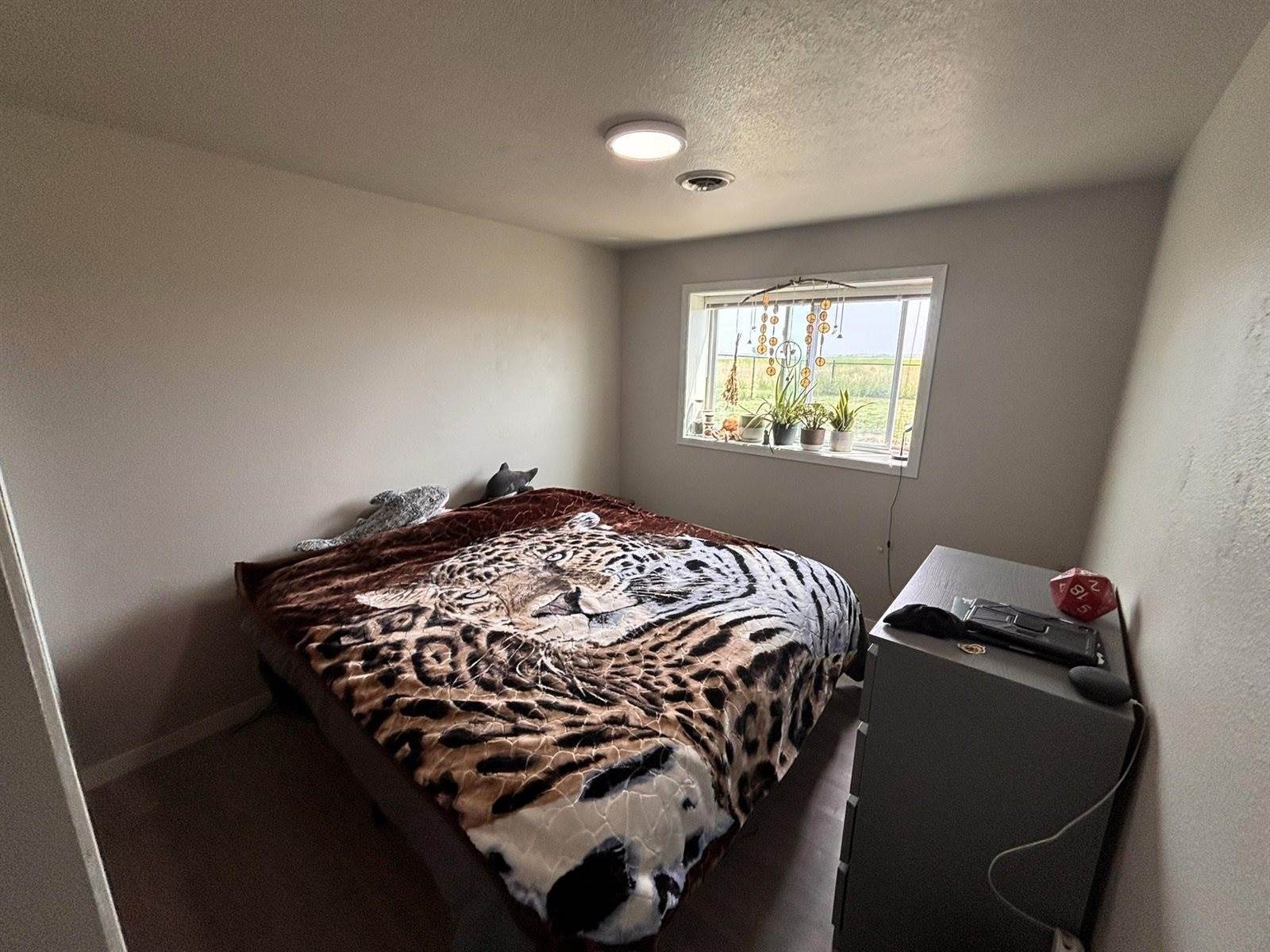 3119 8th St NE, Minot, ND 58703