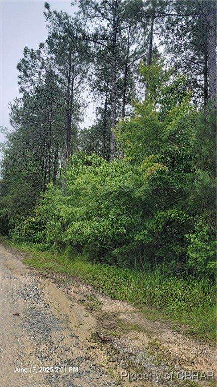 0 Buchanan Lane, Gloucester County, VA 23061