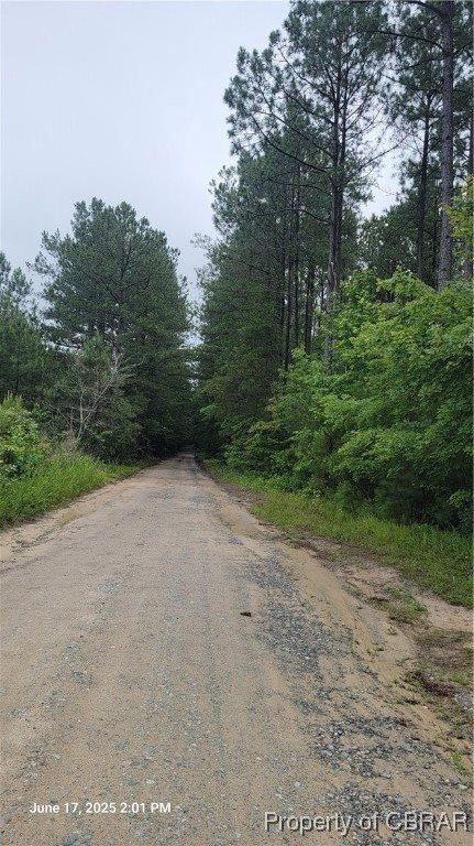 0 Buchanan Lane, Gloucester County, VA 23061