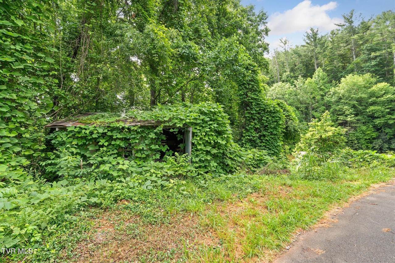 102 Tolley Lane, Erwin, TN 37650