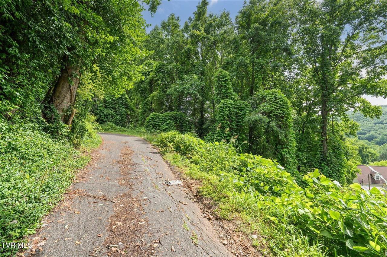 102 Tolley Lane, Erwin, TN 37650