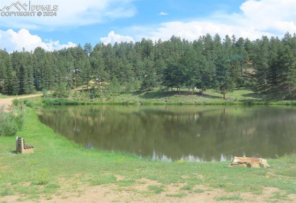 255 Forest Glen Trail, Florissant, CO 80816