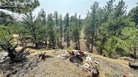 255 Forest Glen Trail, Florissant, CO 80816