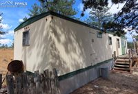 255 Forest Glen Trail, Florissant, CO 80816