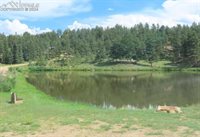 255 Forest Glen Trail, Florissant, CO 80816