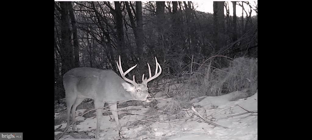 731 West Main Street, Leesport, PA 19533