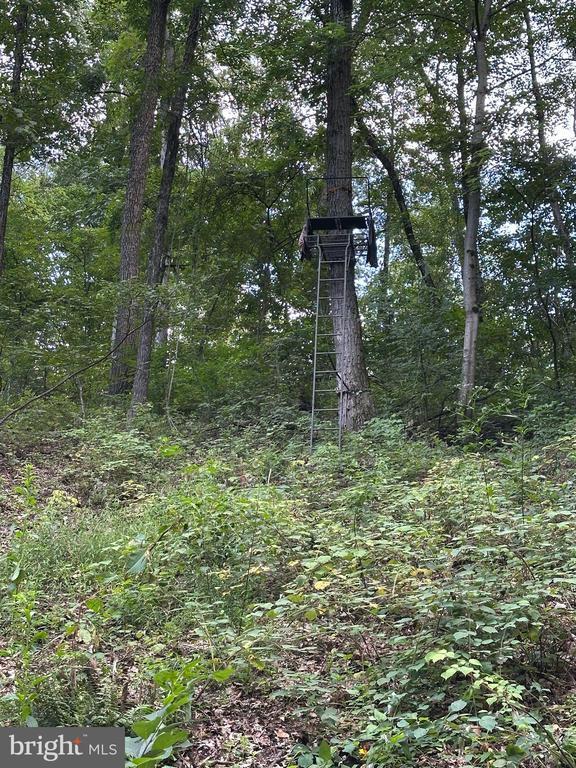 731 West Main Street, Leesport, PA 19533