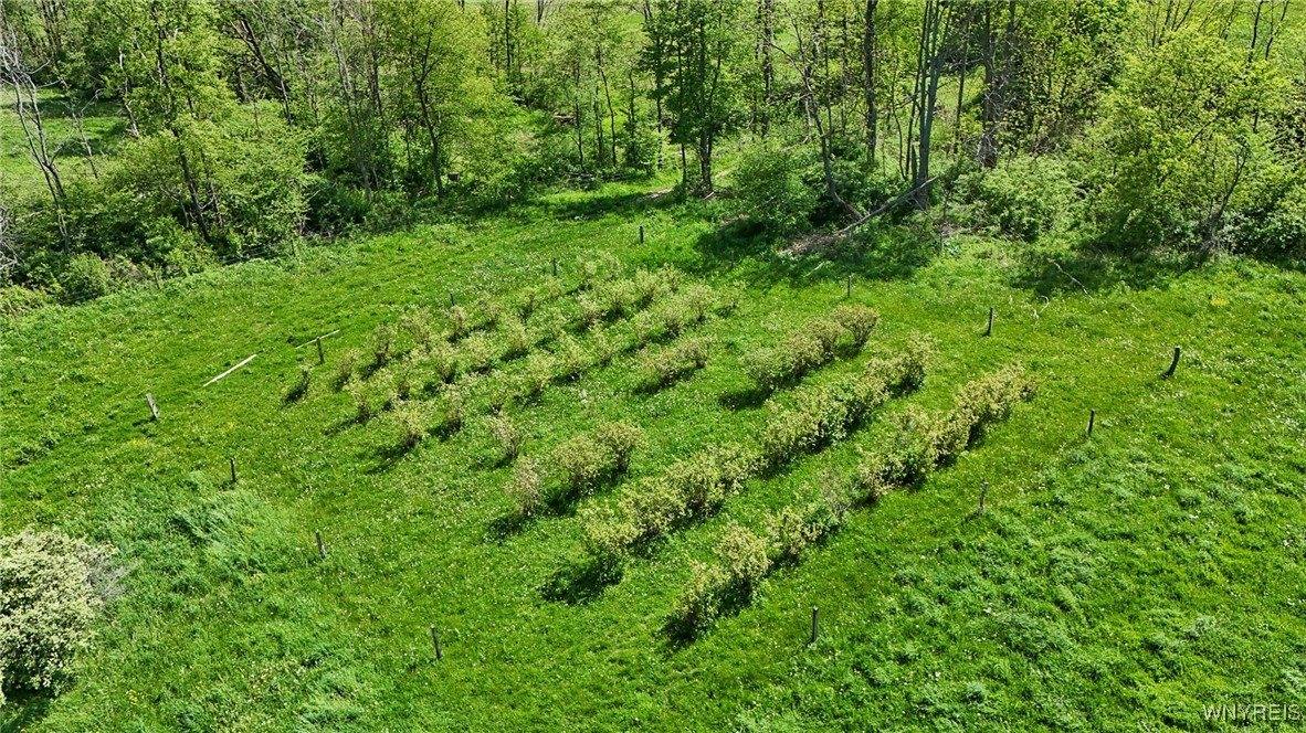 11577 Armison Road, Hume, NY 14735