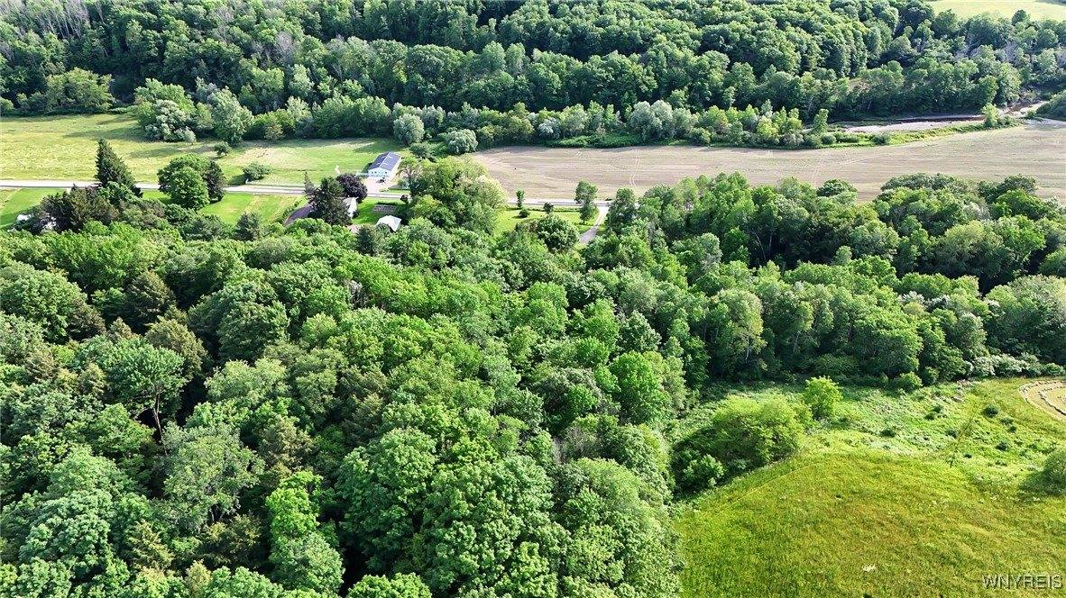 8368 Higgins Road, Centerville, NY 14065