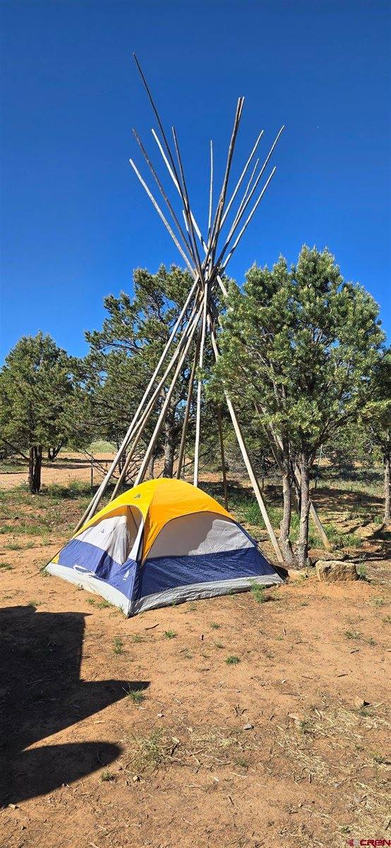 6101 County Road 1, Montrose, CO 81403