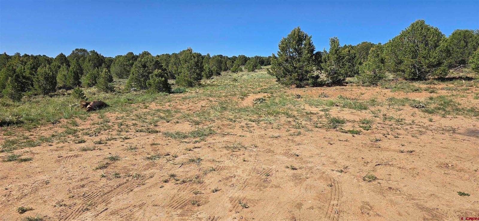 6101 County Road 1, Montrose, CO 81403