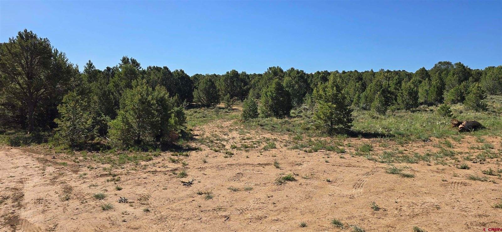 6101 County Road 1, Montrose, CO 81403