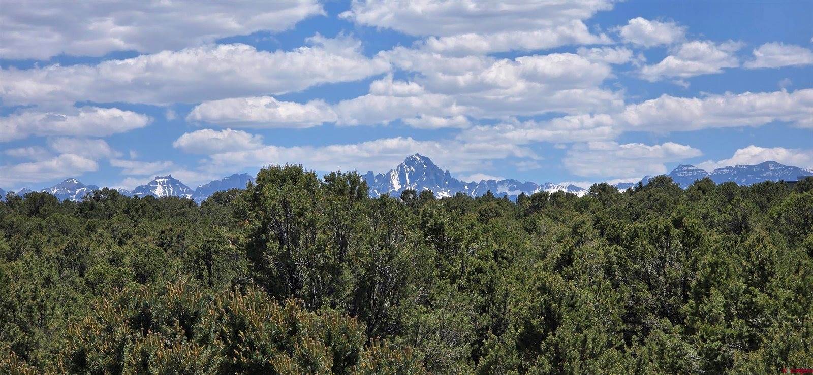 6101 County Road 1, Montrose, CO 81403