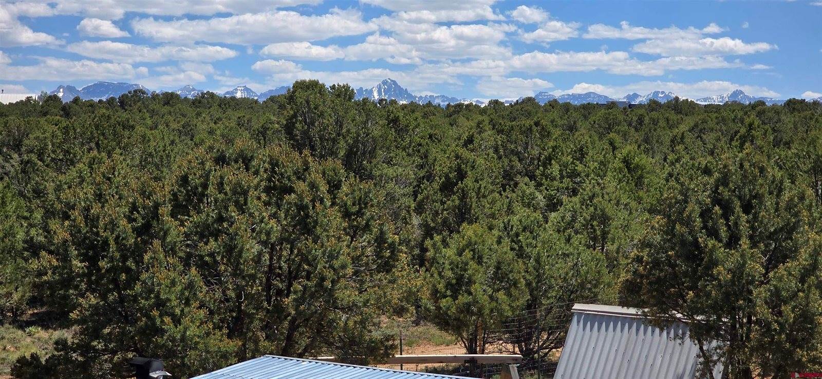 6101 County Road 1, Montrose, CO 81403