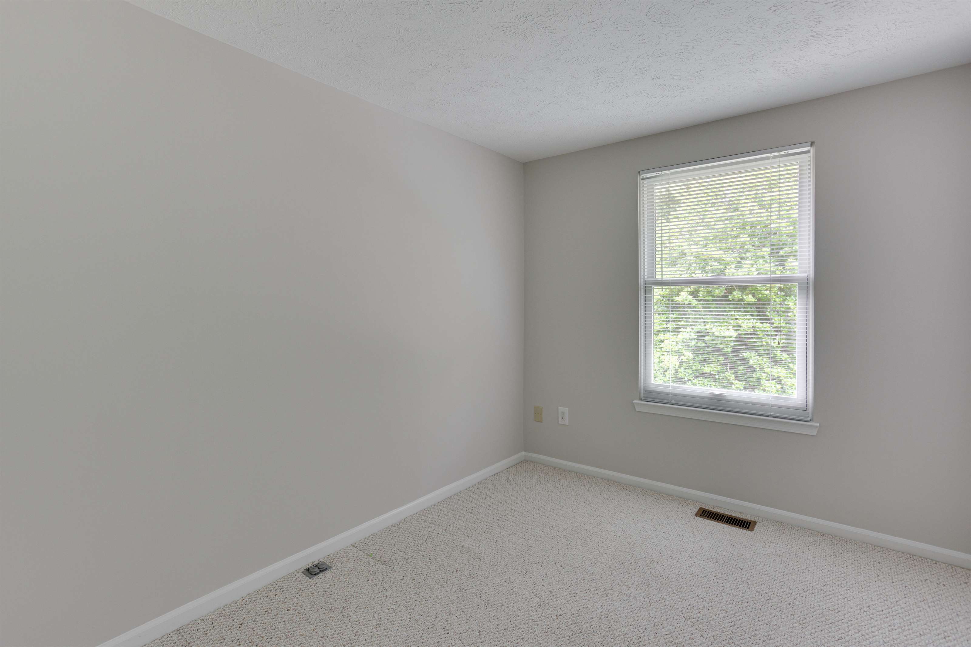 1723 Misty Dawn Court, Henrico, VA 23238