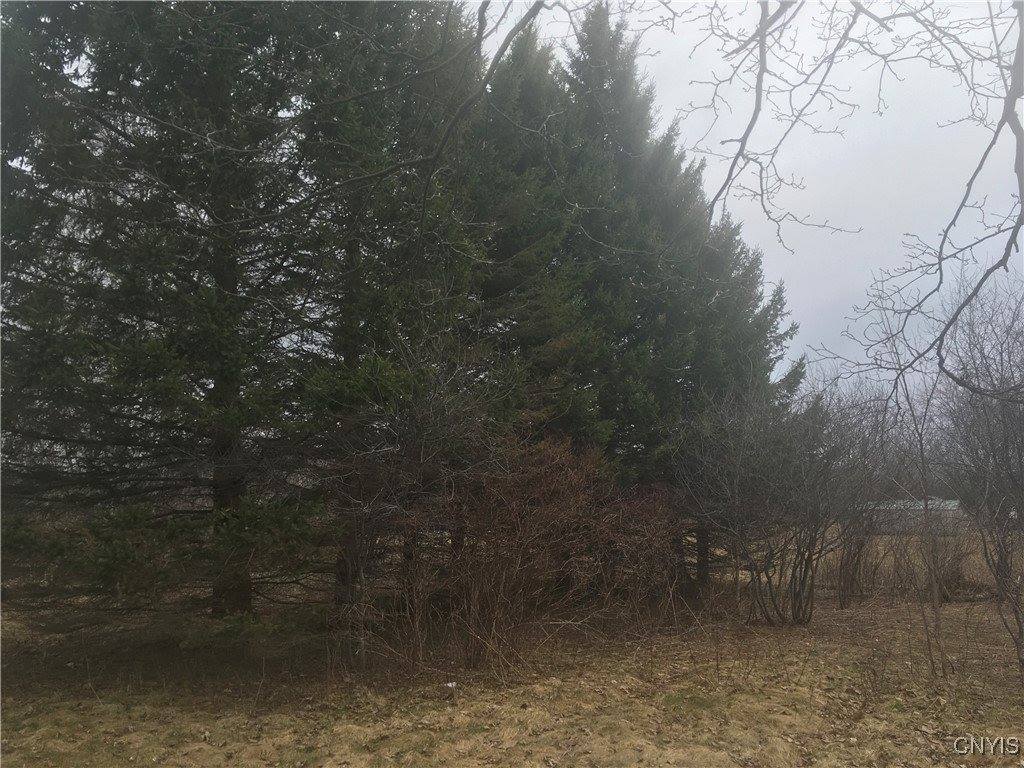 Rome Road, Richland, NY 13142