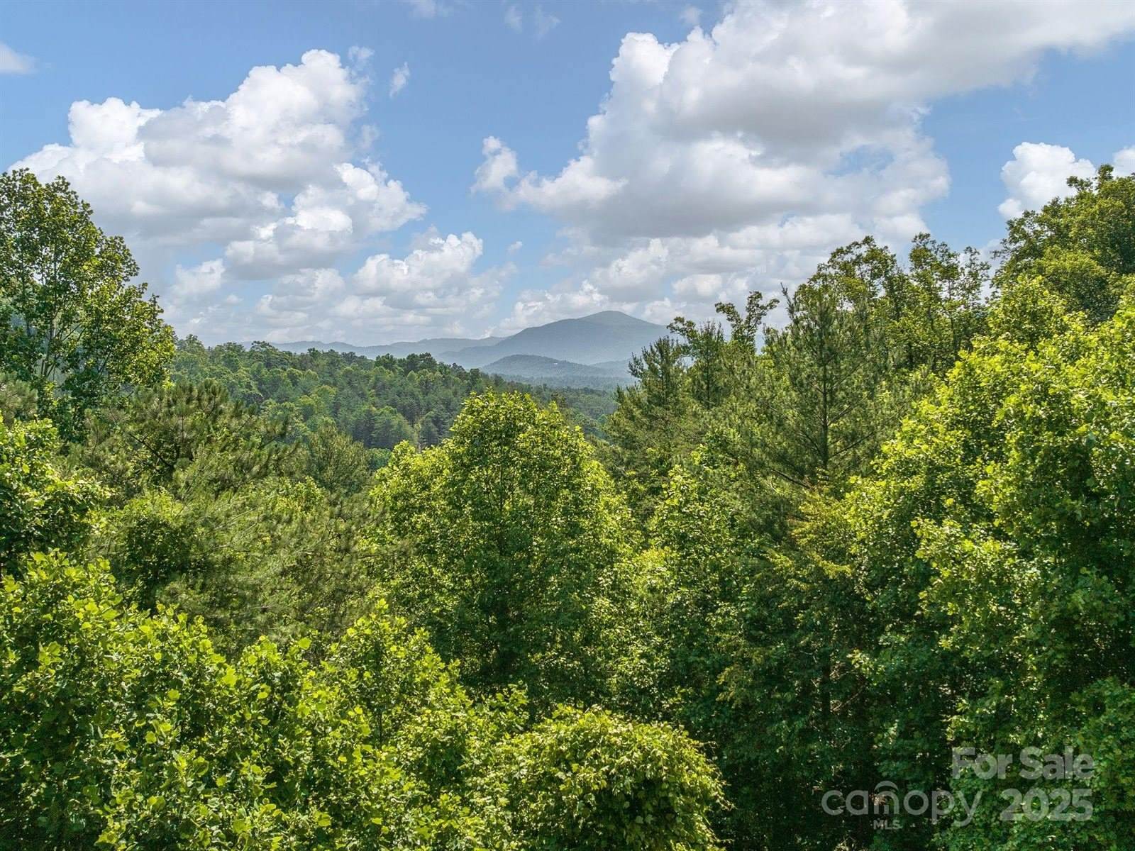 345 Bob Barnwell Road, Fletcher, NC 28732