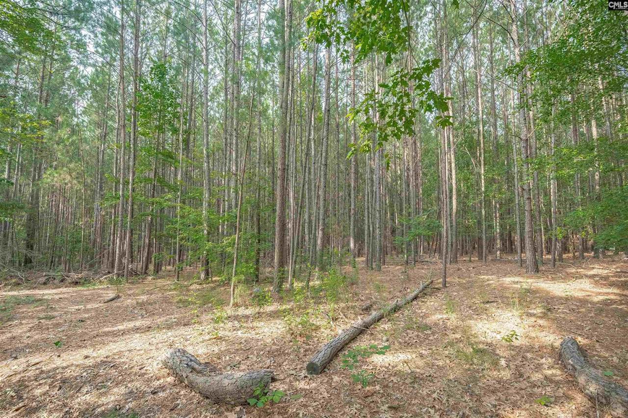 269 Creek Branch, Lexington, SC 29072