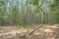 269 Creek Branch, Lexington, SC 29072