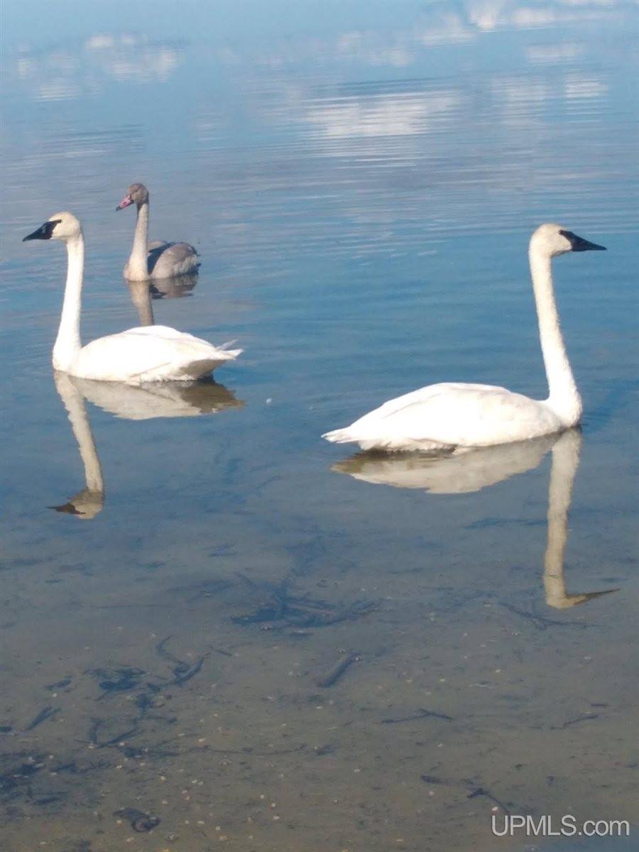 14038 24.5 Lane, Rapid River, MI 49878