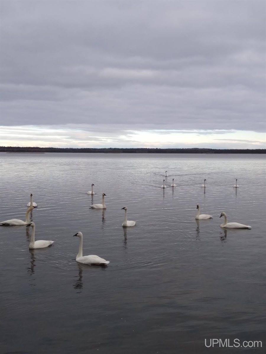 14038 24.5 Lane, Rapid River, MI 49878