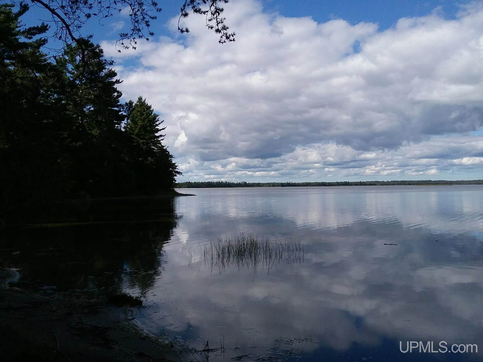 14038 24.5 Lane, Rapid River, MI 49878