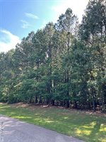 000 Harbor Drive, Macon, NC 27551